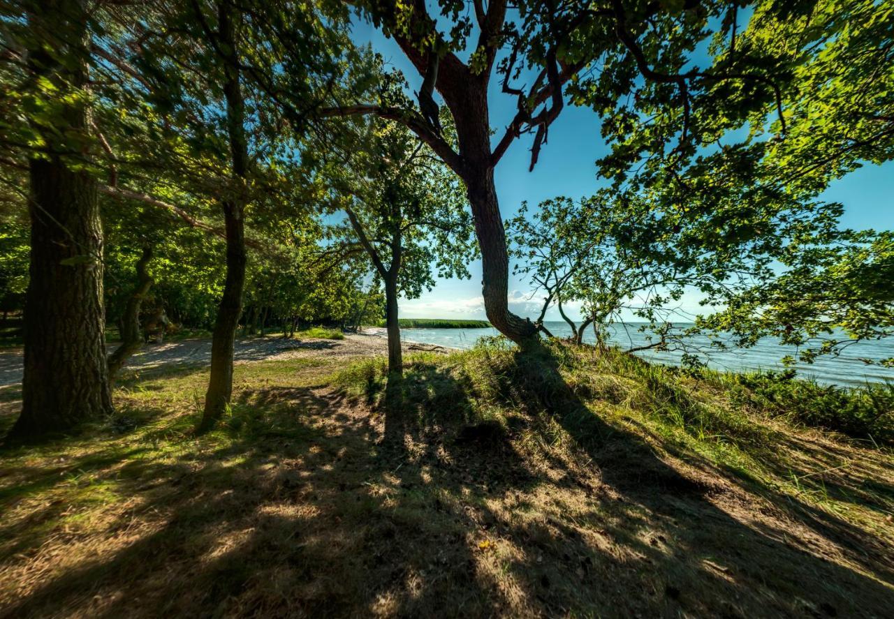 Traumhaff Kuestenchalets - Einzigartige Chalets An Der Ostsee. Ganz Aus Laerchenholz Mit Kamin Und Sauna Vogelsang-Warsin Exteriör bild